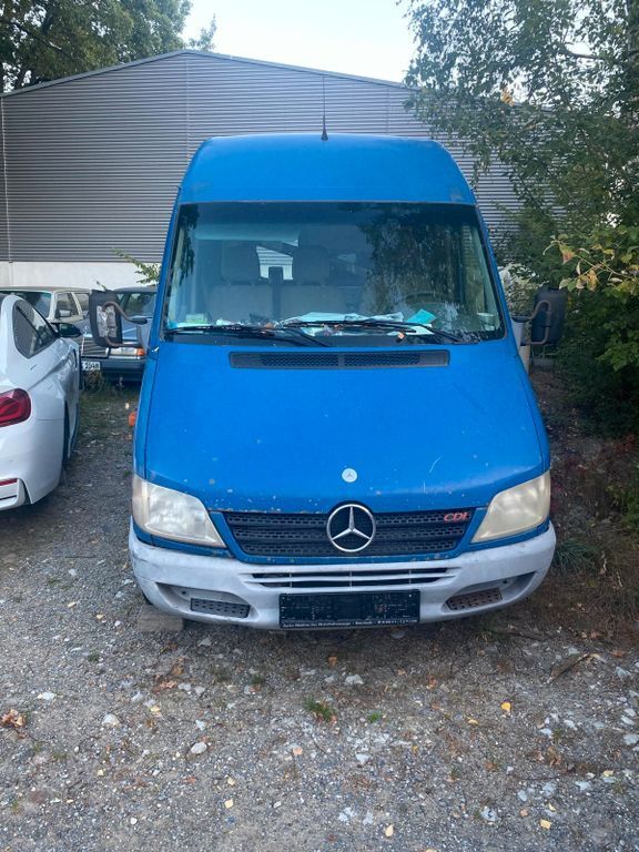 Sprinter