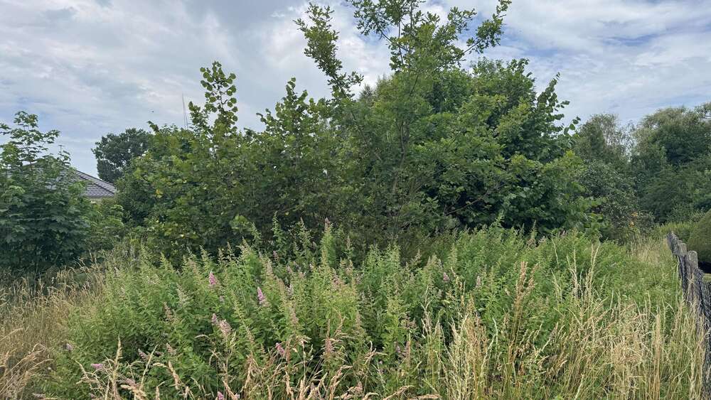 Grundstück Cottbus Gallinchen - 250.000&euro; | Angebot:25197162