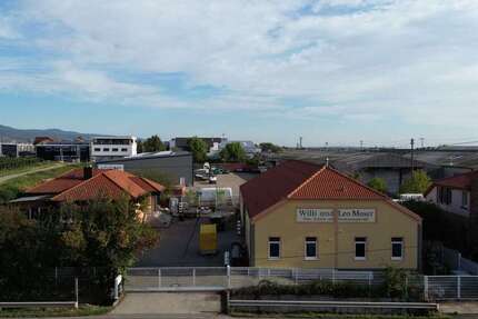 Gewerbeobjekt Kirrweiler (Pfalz) - 990.000&euro; | Angebot:27376606