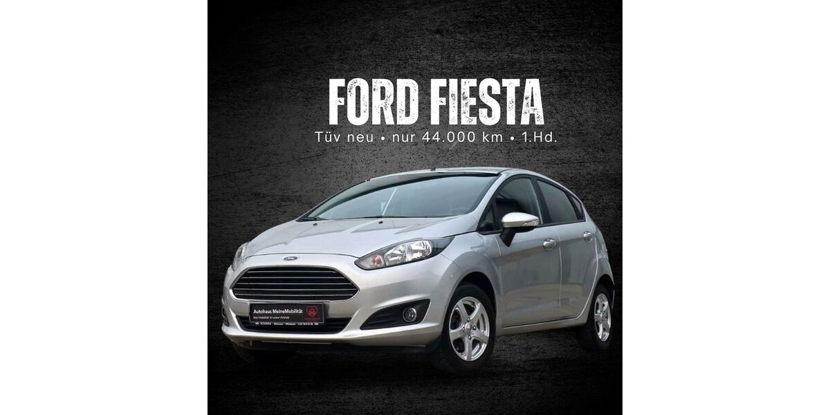 Ford Fiesta 44.000 km 7.390 &euro; Ludwigshafen am Rhein 67059