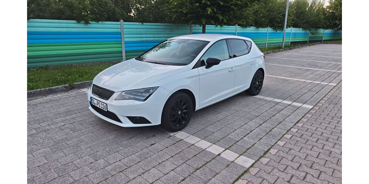 Seat Leon 197.000 km 5.950 &euro; Dannewerk 24867