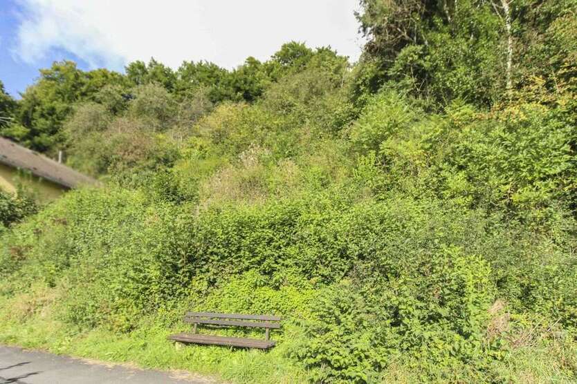 Grundstück zu verkaufen in Schönecken 15.000 € 801 m²