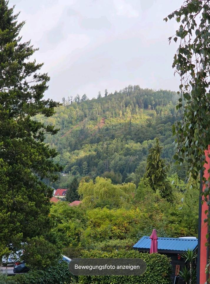 idyllische 2 Zimmer Wohnung auf dem Lautenberg (Suhl) ab sofort