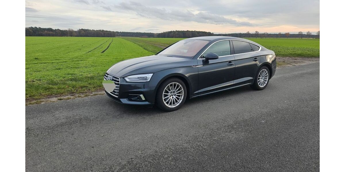 Audi A5 63.000 km 26.900 &euro; Pennigsehl 31621
