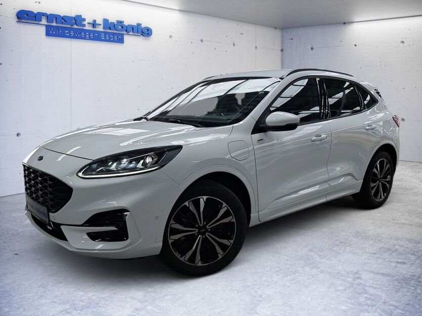 Kuga