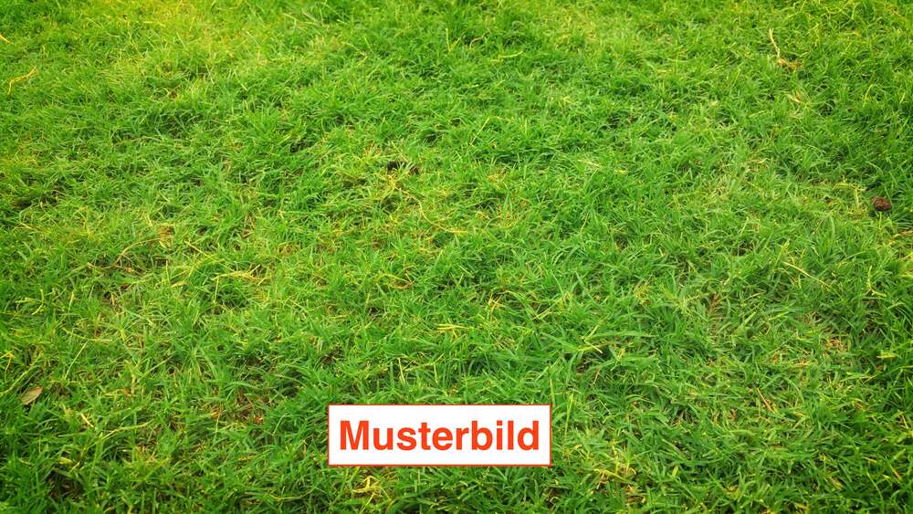 Grundstück Schmitten - 220.000&euro; | Angebot:27156814