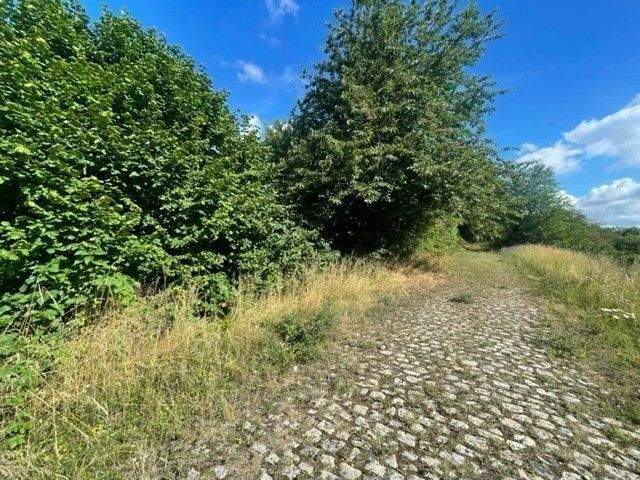 Grundstück Wethau - 55.000&euro; | Angebot:25680420