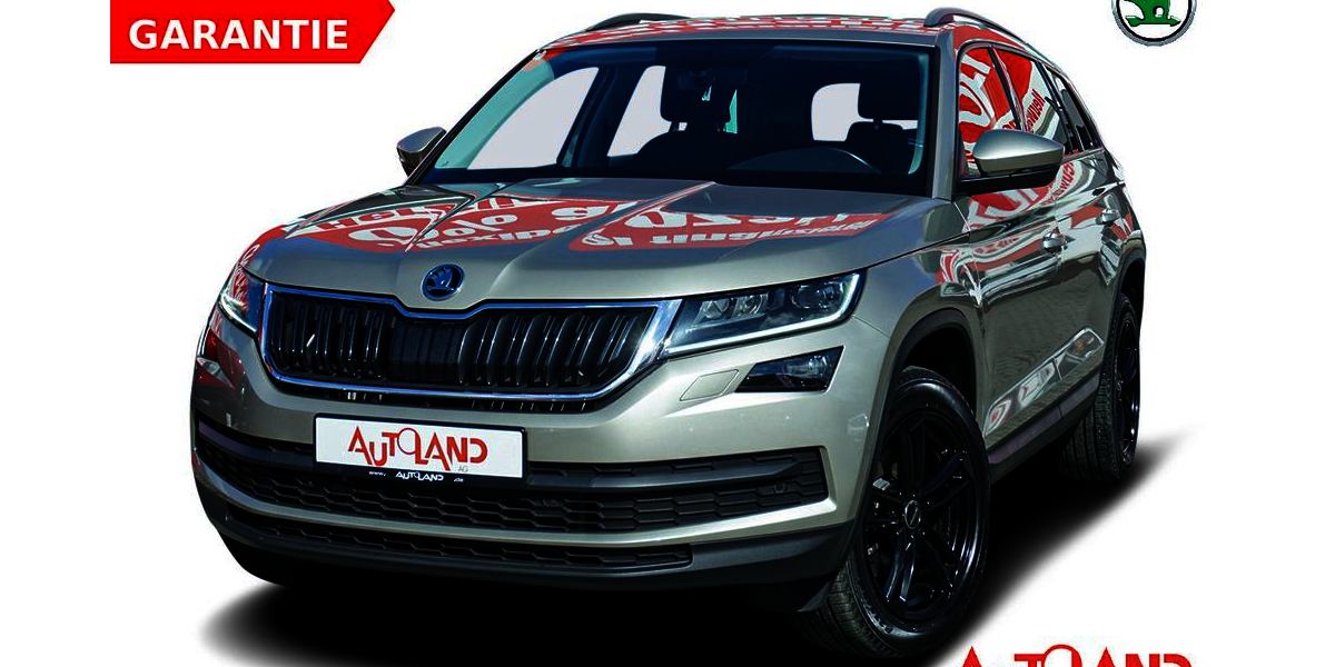 Skoda Kodiaq 98.632 km 24.990 &euro; Dresden 01069