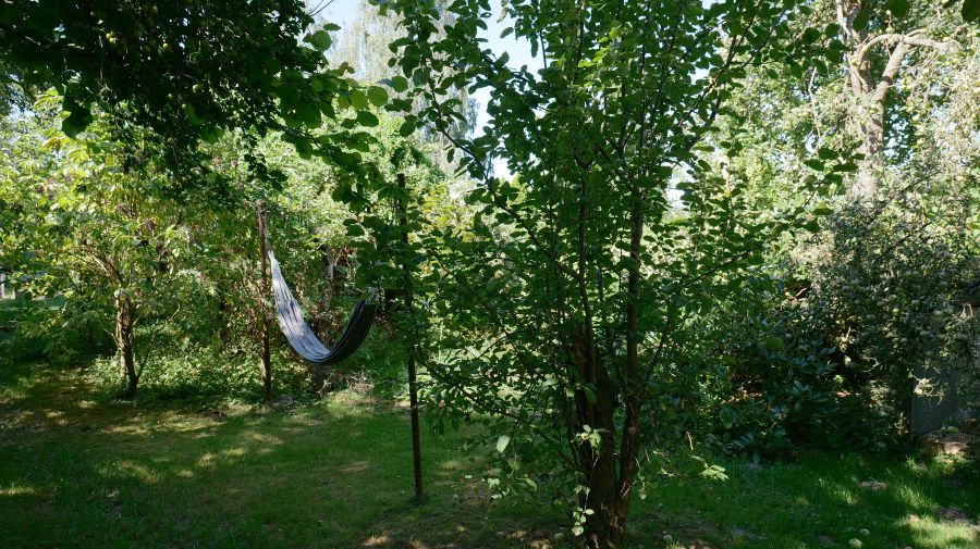 Provisionsfrei* Zwischen Blauberg und Garten - Einfamilienhaus Kreischa | Angebot:26116135