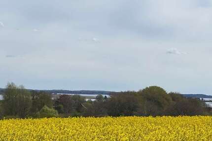 Grundstück Schleswig - 179.000&euro; | Angebot:24567698