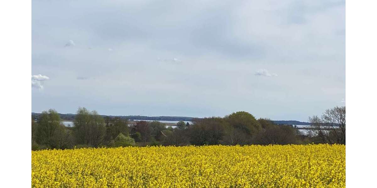 Grundstück Schleswig - 179.000&euro; | Angebot:24567698