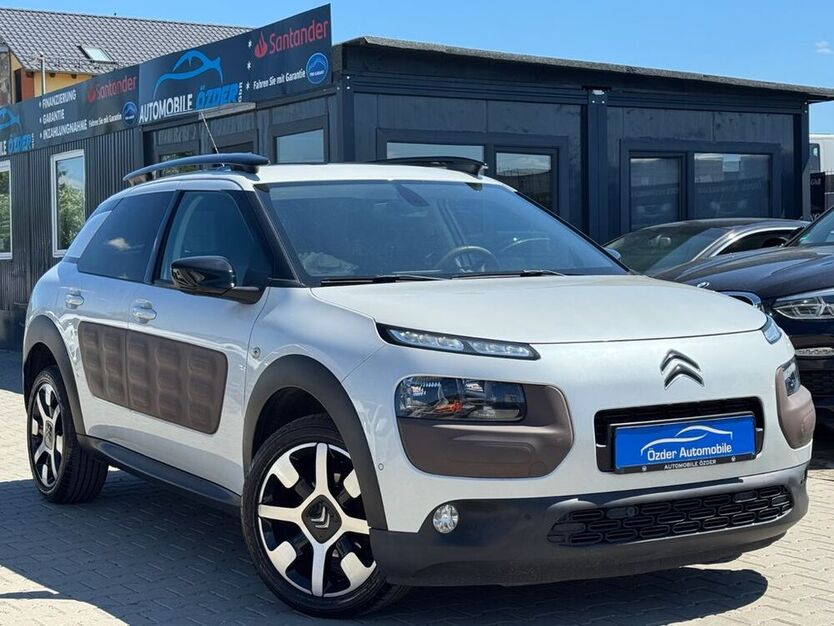 C4 Cactus