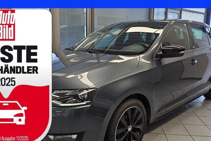 Skoda Rapid 123.403 km 10.900 € Wolfsburg-Heiligendorf 38444