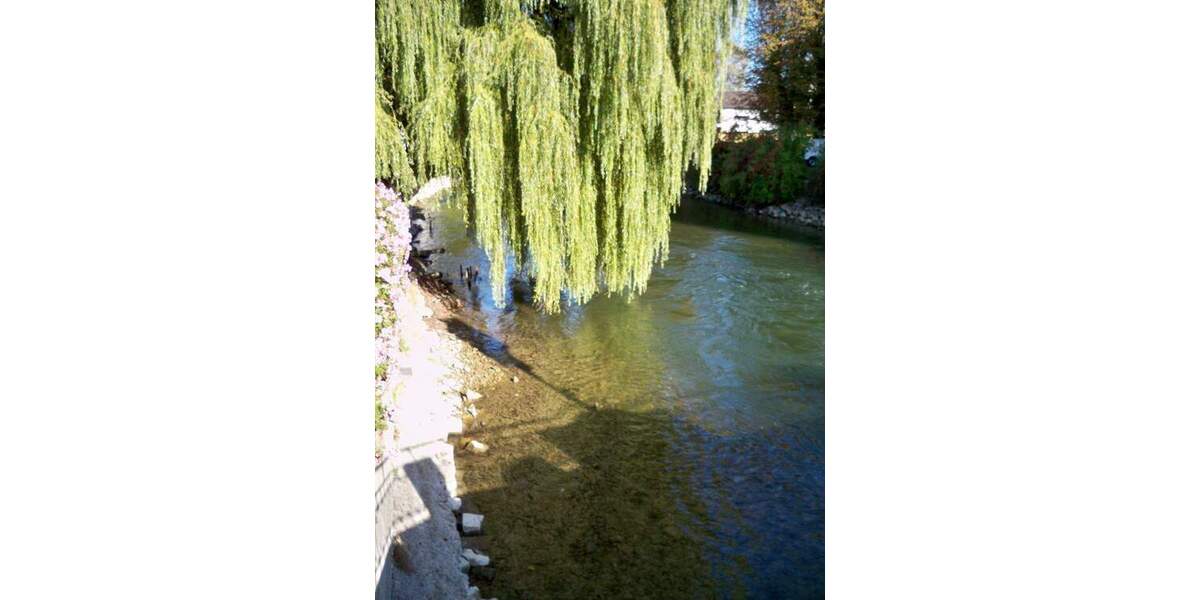 Mehrfamilienhaus, Wohnhaus Fürstenfeldbruck - 1.290.000&euro; | Angebot:26276073