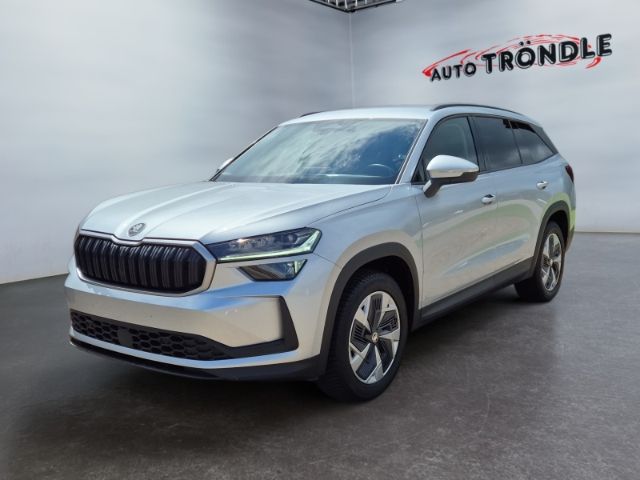Skoda Kodiaq 29.000 km 44.620 € Grafenhausen 79865