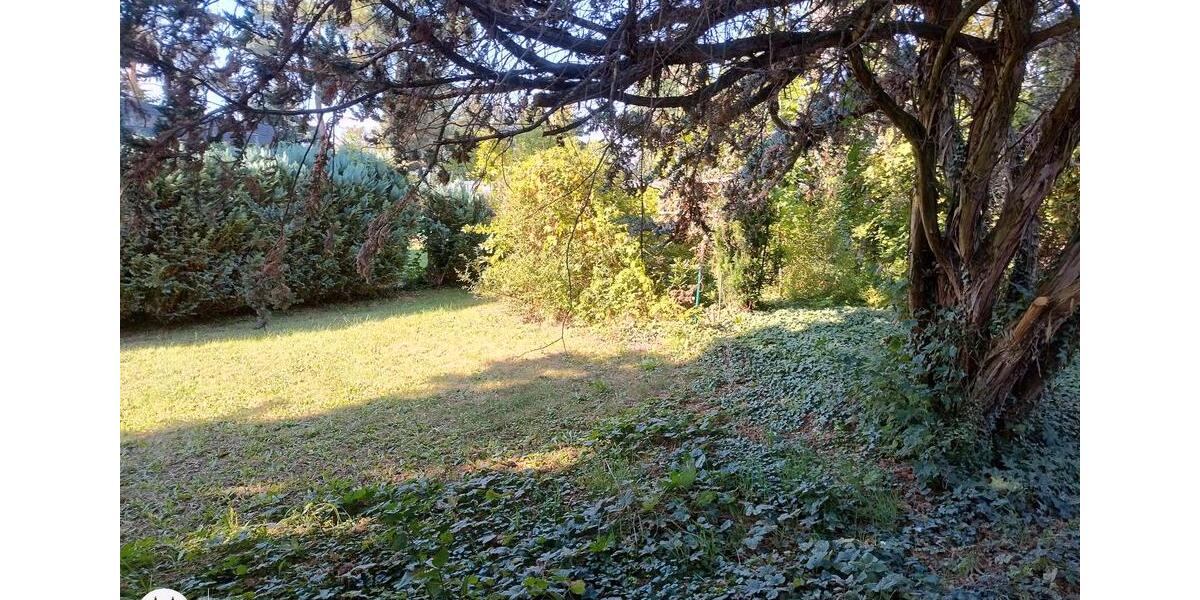 Bungalow Belgern-Schildau Schildau - 1 Zimmer, 40 m&sup2;, 86.000&euro; | Angebot:26480108
