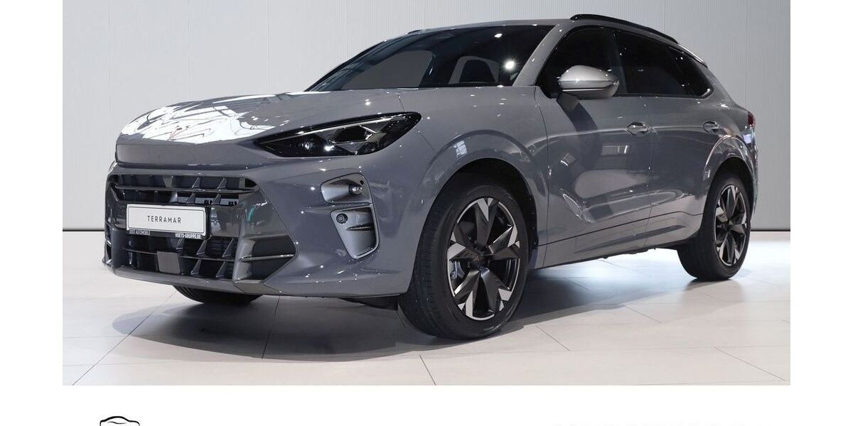 Cupra Terramar 12.500 km 37.930 € Hildesheim 31135