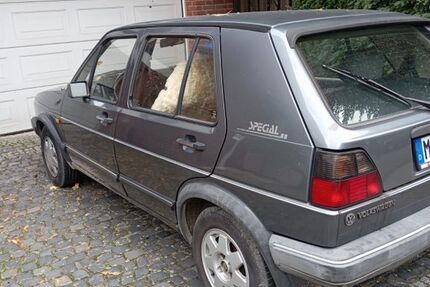VW Golf 200.000 km 3.000 € Münster 48165