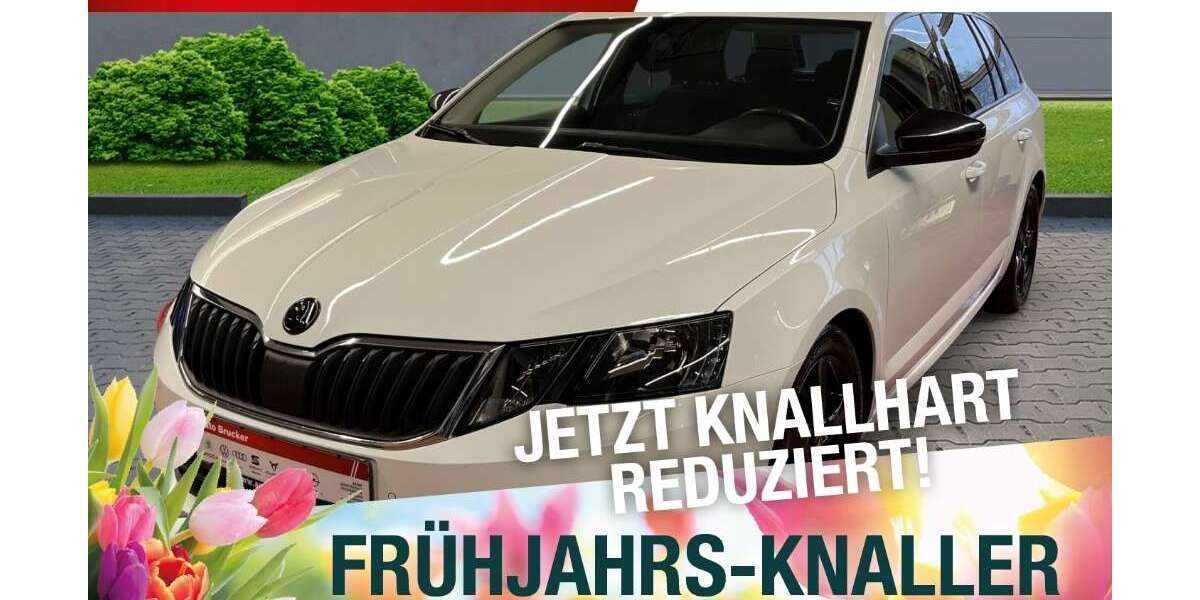 Skoda Octavia 103.549 km 13.870 &euro; Naila 95119