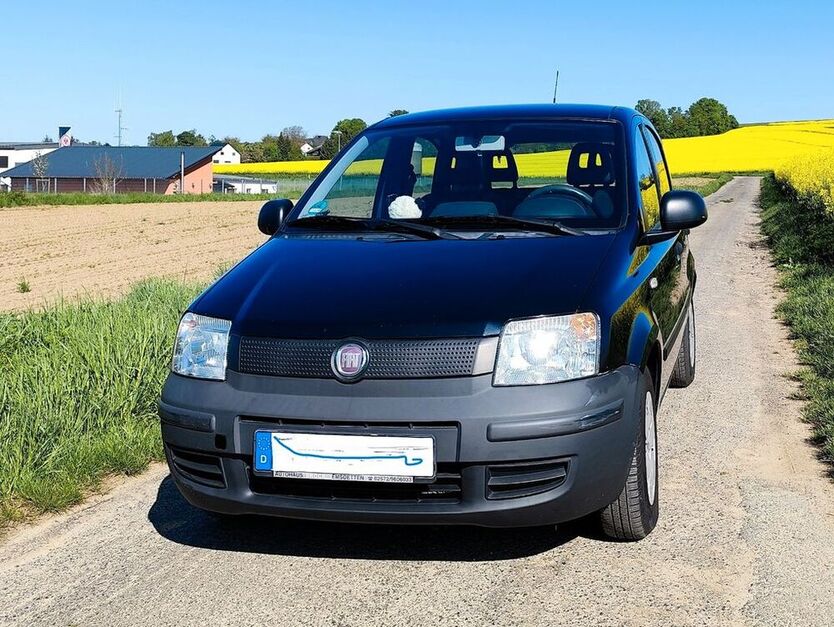 Panda
