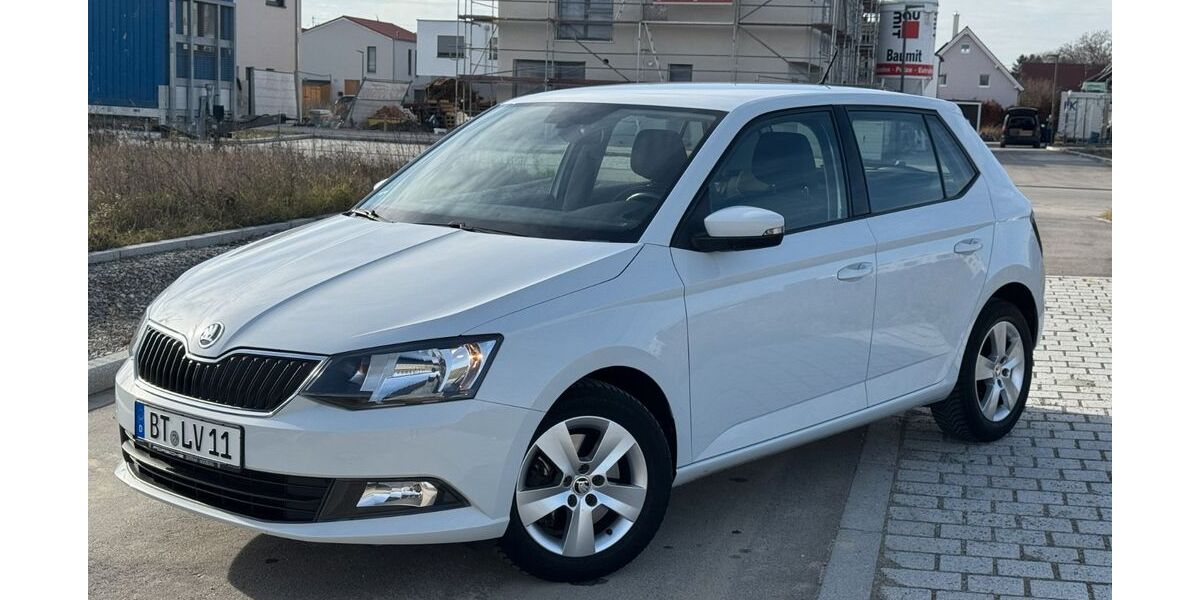Skoda Fabia 95.000 km 10.900 € Augsburg 86153