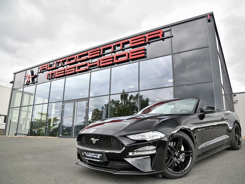 Mustang
