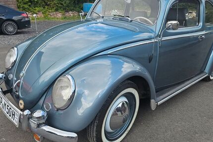 VW Käfer 62.450 km 22.999 &euro; Gräfendorf 97782