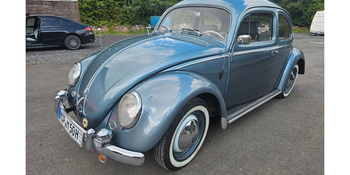 VW Käfer 62.450 km 22.999 &euro; Gräfendorf 97782