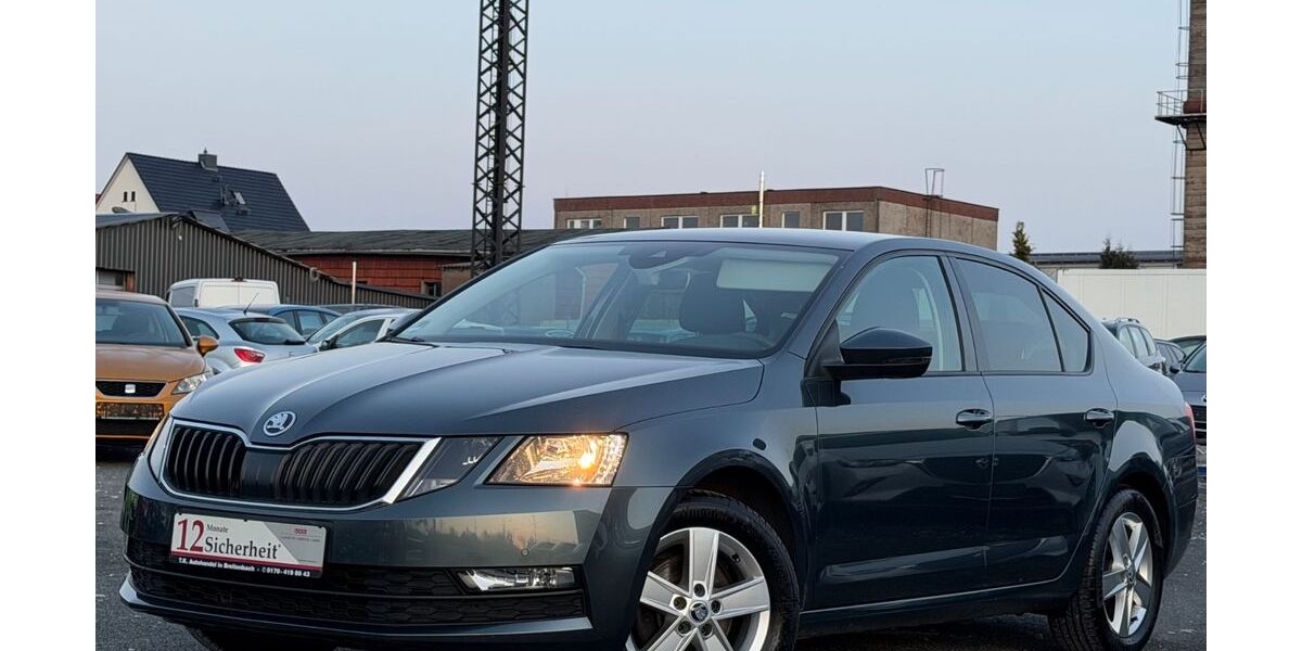 Skoda Octavia 91.399 km 13.499 &euro; Breitenbach 37327