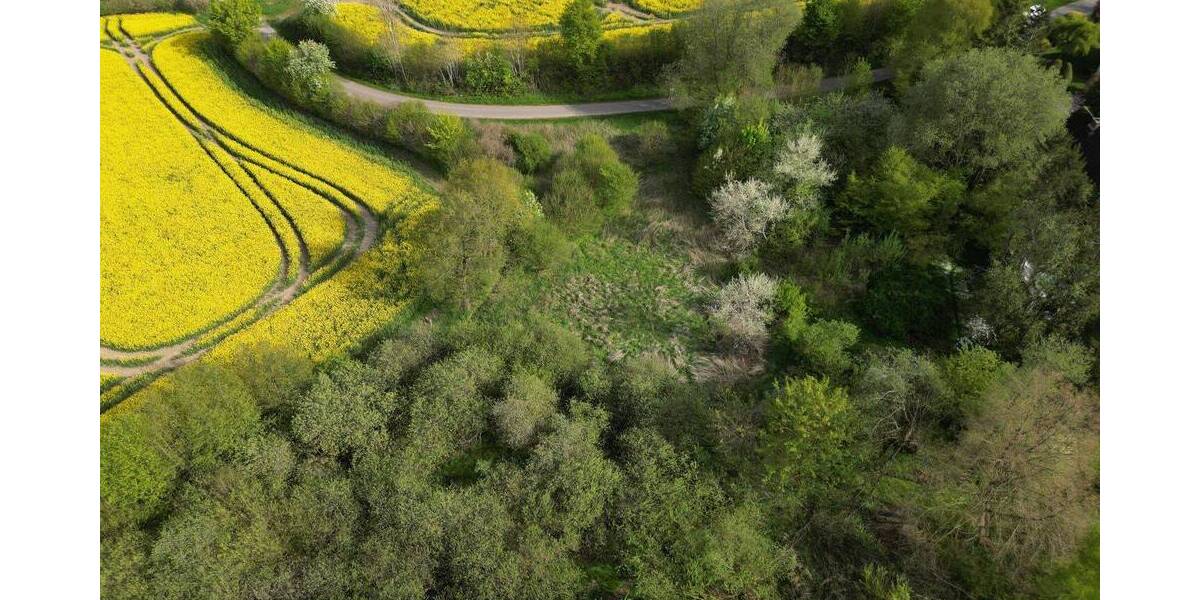 Grundstück Bebensee - 30.000&euro; | Angebot:25210867