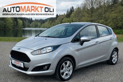 Ford Fiesta 190.000 km 4.490 &euro; Pfalzgrafenweiler 72285