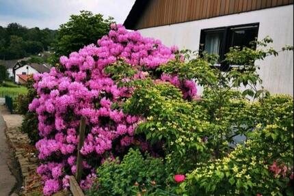 DG-Wohnung, ca.62qm an Einzelperson in Nümbrecht 3 zimmer