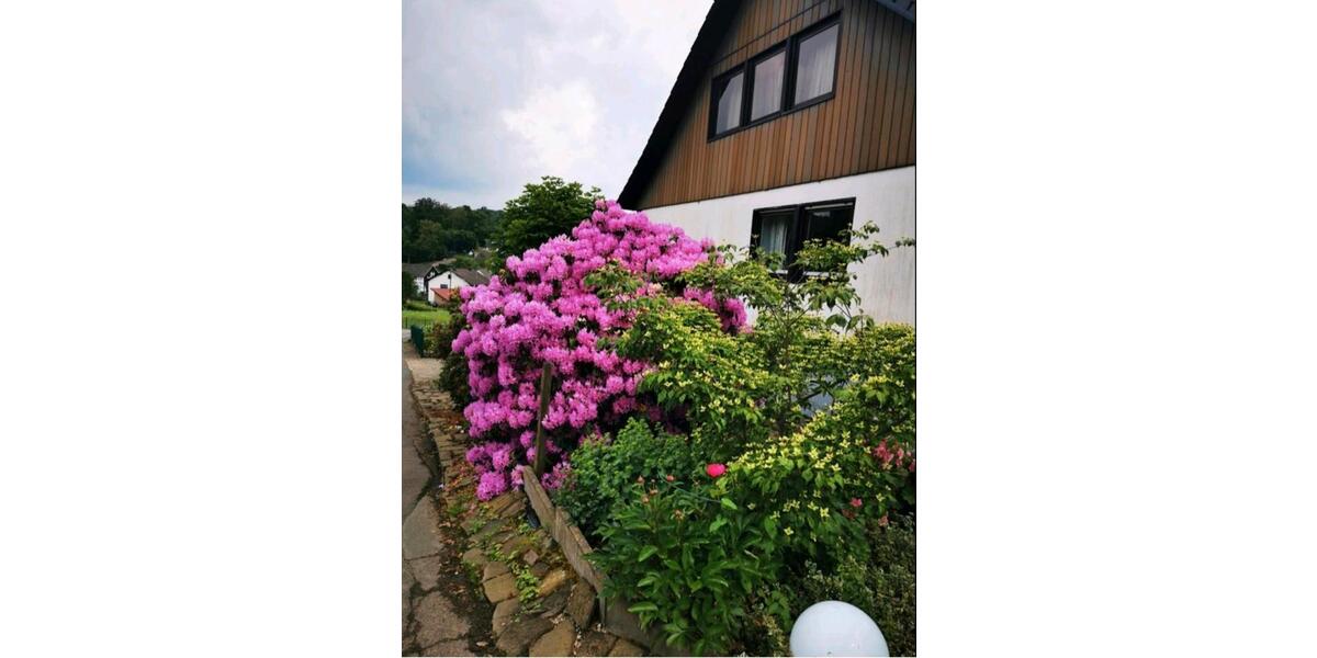 DG-Wohnung, ca.62qm an Einzelperson in Nümbrecht 3 zimmer