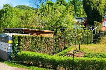 Haus Bleicherode - 2 Zimmer, 95 m&sup2;, 129.900&euro; | Angebot:25592884