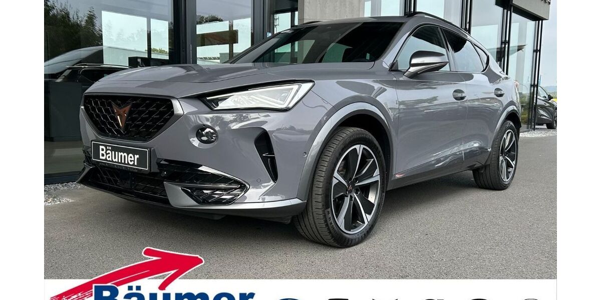 Cupra Formentor 96.042 km 23.690 &euro; Ibbenbüren 49479