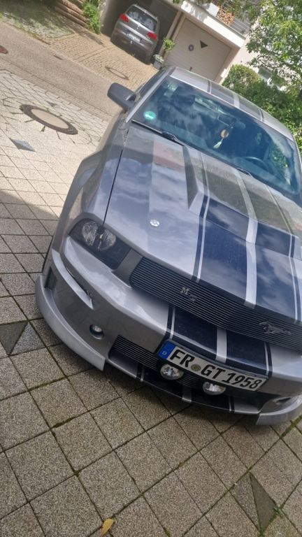 Mustang