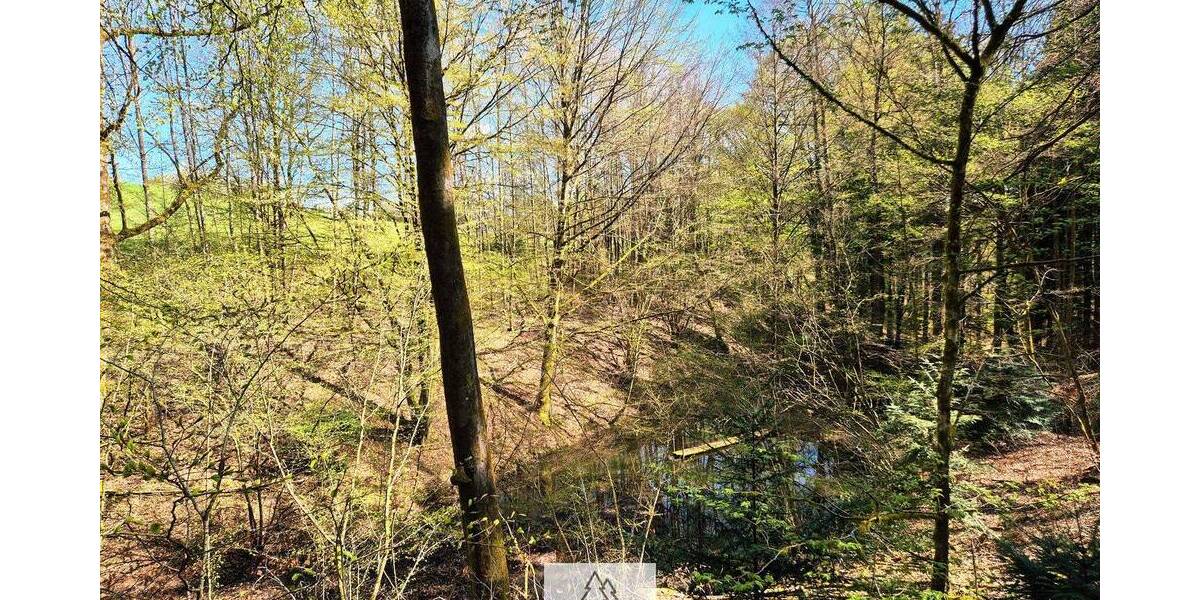 Grundstück Mainhardt Ammertsweiler - 34.900&euro; | Angebot:26798338