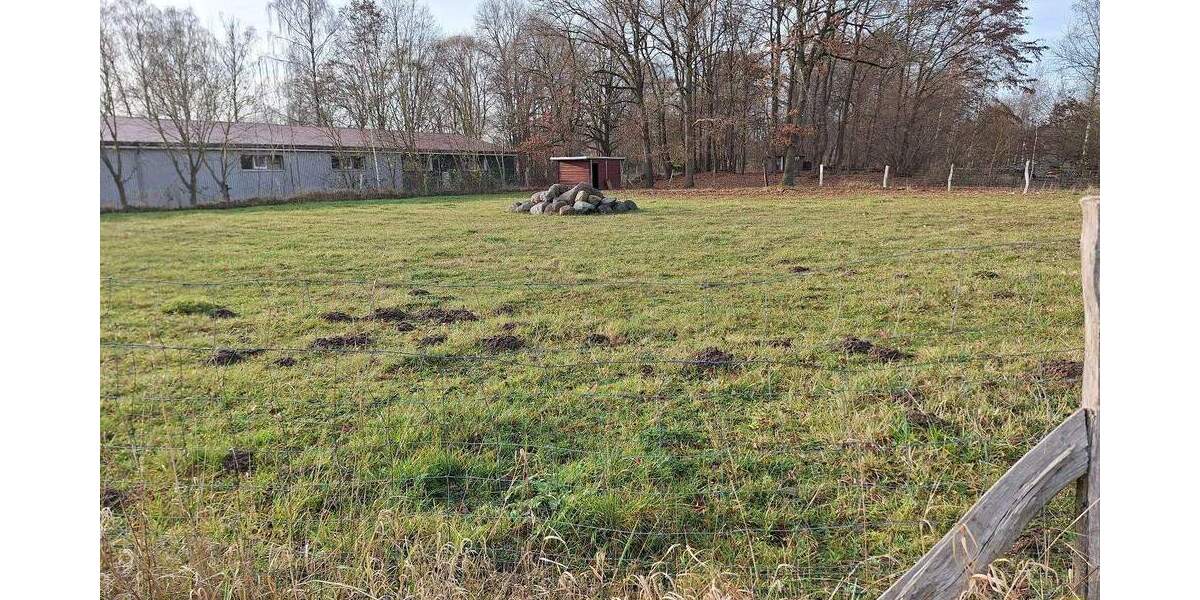 Riesen-Grundstück, zusätzl. Bauland, Riesen-Garage, Stall - Großzügiges Wohnhaus in Greifswald 7 zimmer
