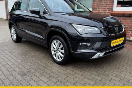 Seat Ateca 162.450 km 15.490 &euro; Dägeling 25578