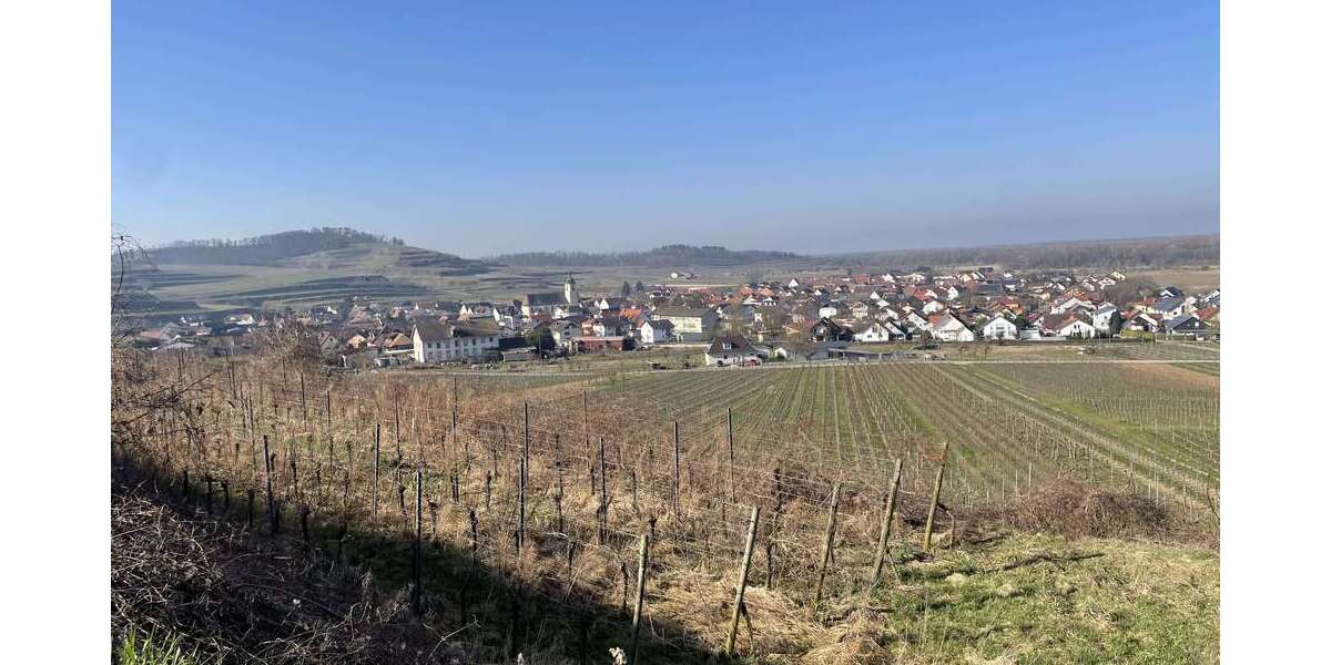 Grundstück zu verkaufen in Jechtingen 11.700 € 2881 m² zimmer