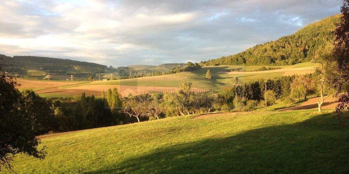 Historischer Doppelbauernhof in traumhafter Alleinlage mit weitem Fernblick und außergewöhnlichem Entwicklungspotenzial ! 8 zimmer