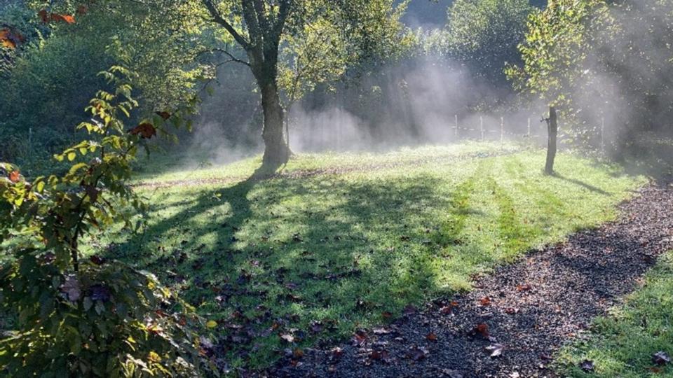 Einfamilienhaus Lindlar - 5 Zimmer, 140 m&sup2;, 549.000&euro; | Angebot:25297761