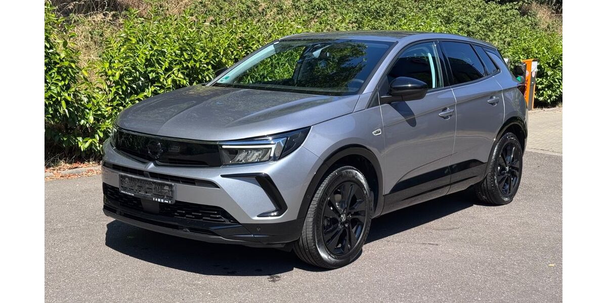 Opel Grandland (X) 50.000 km 19.799 &euro; Lahr 77933