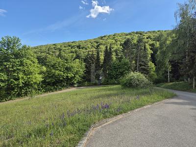 UNVERBAUBARES NATURPARADIES MIT PREMIUMAUSSICHT - Grundstück Tengen | Angebot:26875703