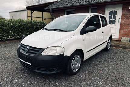 VW Fox