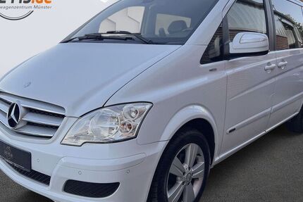 Mercedes Viano