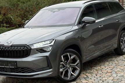 Skoda Kodiaq 16.000 km 46.980 &euro; Schwarzenbach 92720