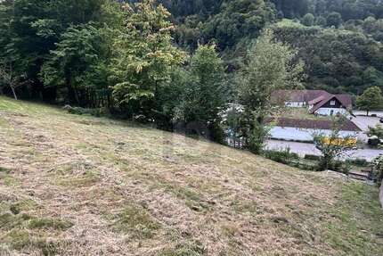 Grundstück Weisenbach - 75.000&euro; | Angebot:26367053