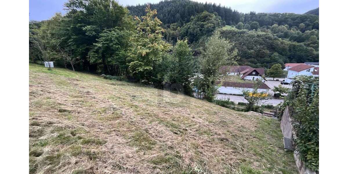 Grundstück Weisenbach - 75.000&euro; | Angebot:26367053