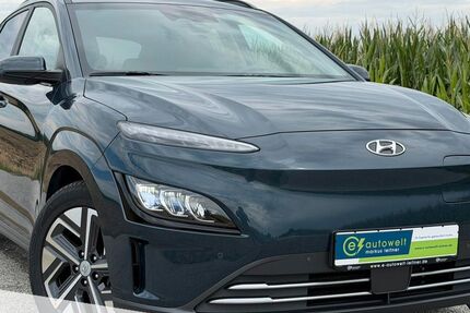 Hyundai KONA 59.696 km 24.490 &euro; Landau a.d.Isar 94405